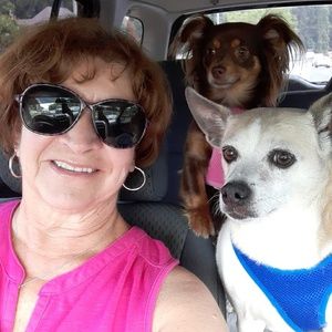 Meet your Posher, Lorraine